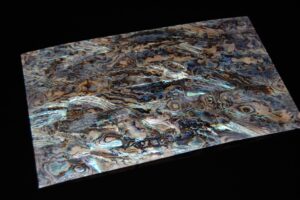 FICCCENT - Dragon Paua Shell Veneer