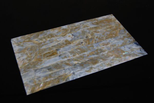 FICCCENT - Freshwater Gold Spot Veneer