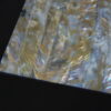 FICCCENT - Freshwater Gold Spot Veneer