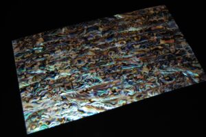 FICCCENT - Blue Paua Veneer