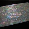 FICCCENT - Prism Abalone Wide Veneer